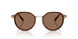 947473 - Gold - Brown Solid