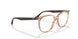 8172 - Brown