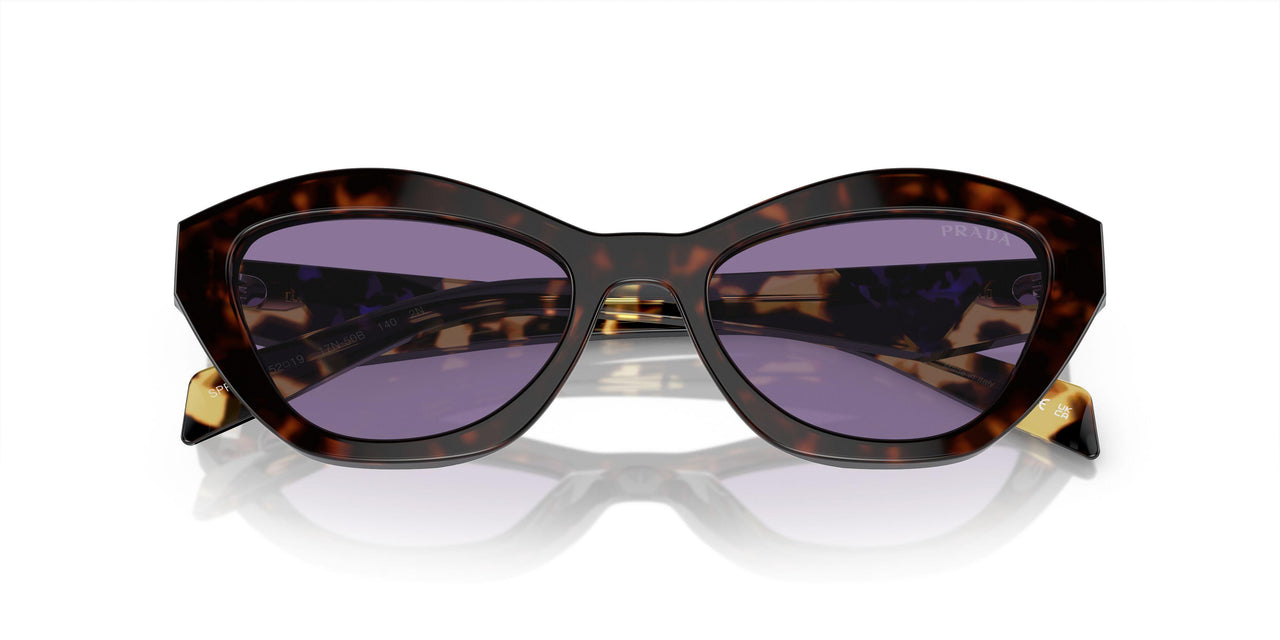 17N50B - Tortoise - Violet Mirror Internal Silver