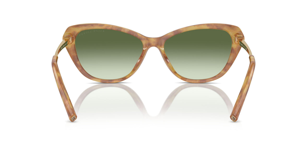 53043M - Tortoise - Gradient Green