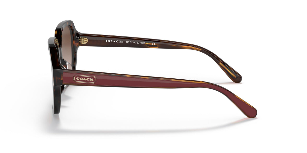 512013 - Havana - Brown Gradient