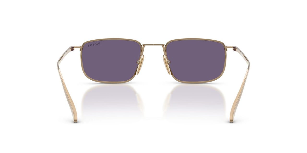7OE70W - Brown - Violet