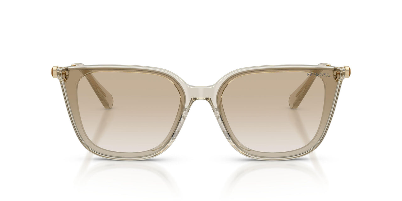 300311 - Brown - Gradient Light Grey