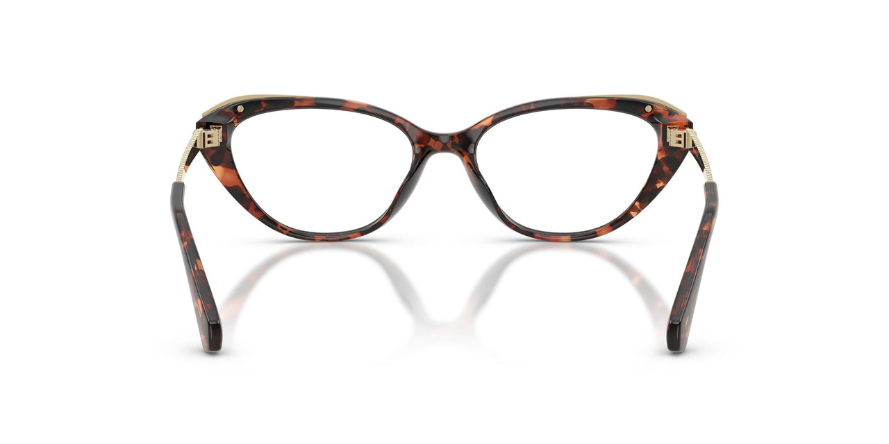 4031 - Tortoise
