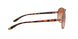 407901 - Pink - Vr50 Brown Gradient