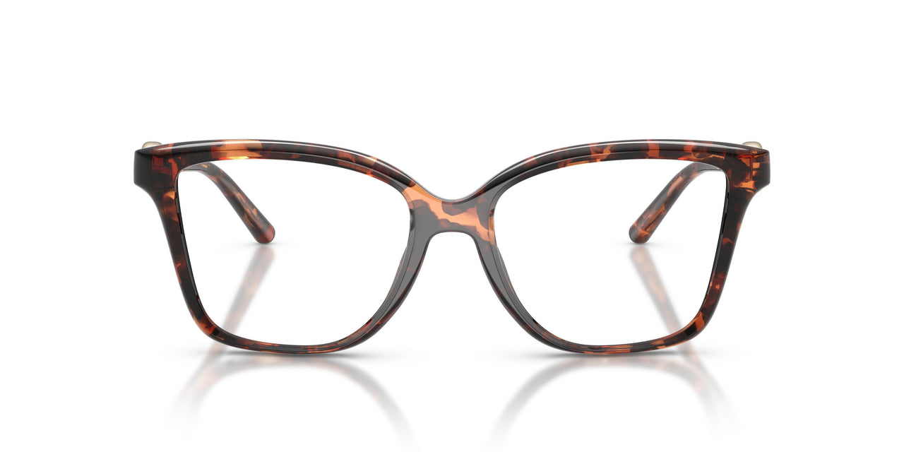 4031 - Tortoise