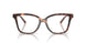 4031 - Tortoise