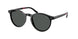 Polo 4236 Sunglasses