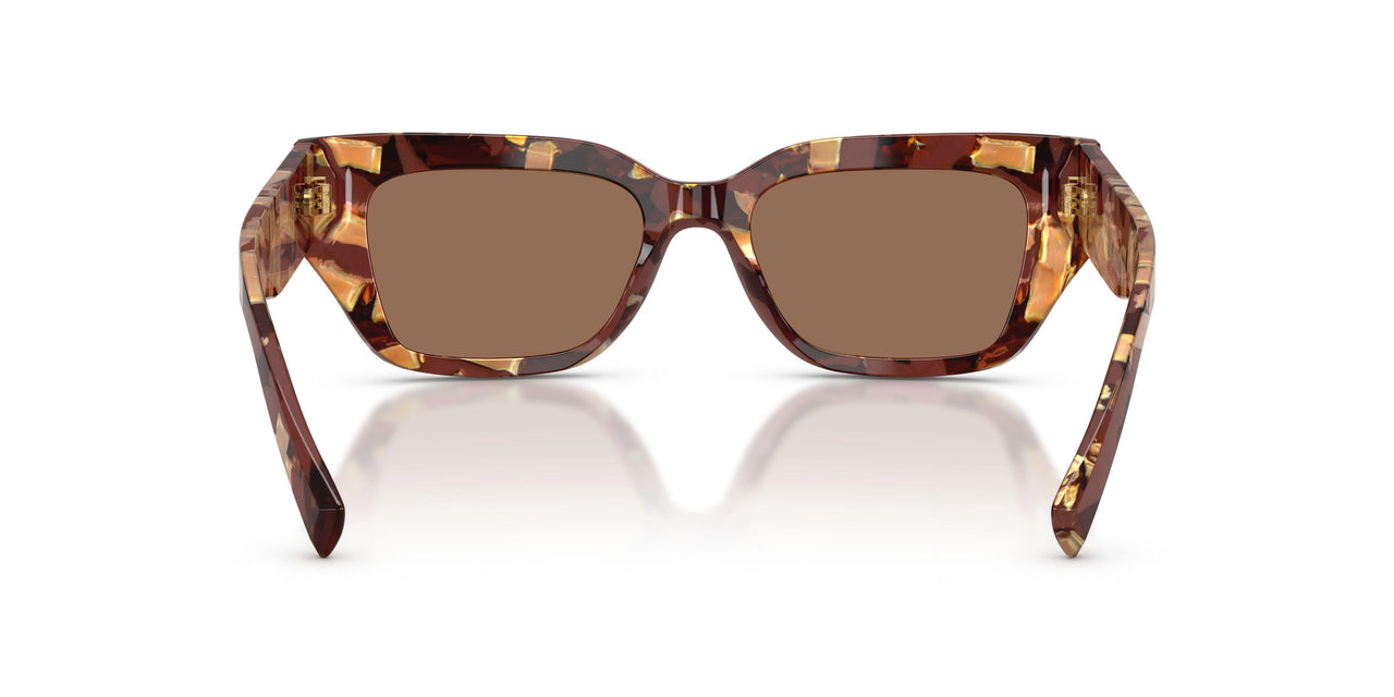 346273 - Brown - Dark Brown