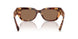 346273 - Brown - Dark Brown