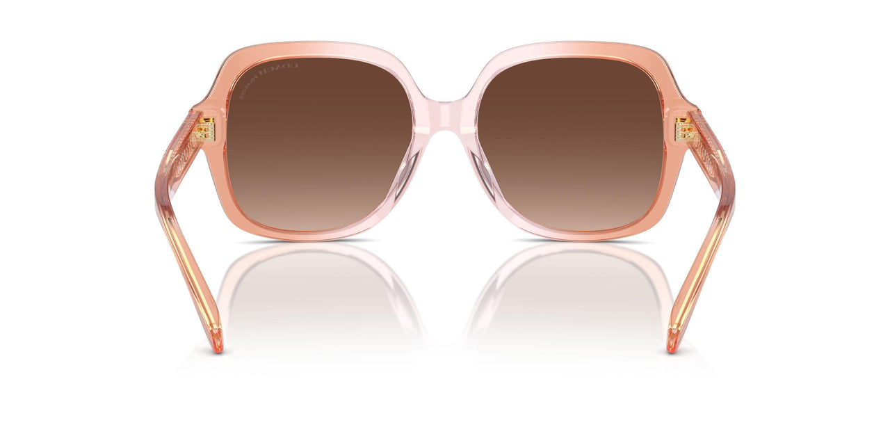 5812T5 - Brown - Brown Gradient Polarized