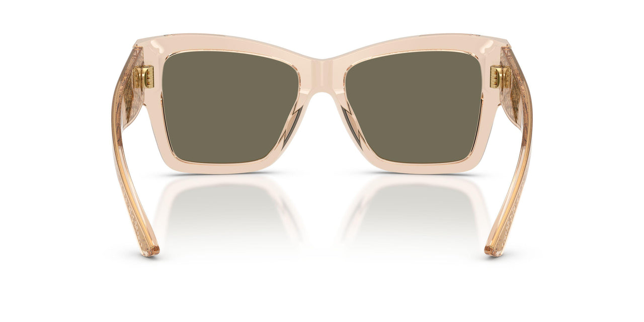343203 - Brown - Clear Mirror Real Yellow Gold