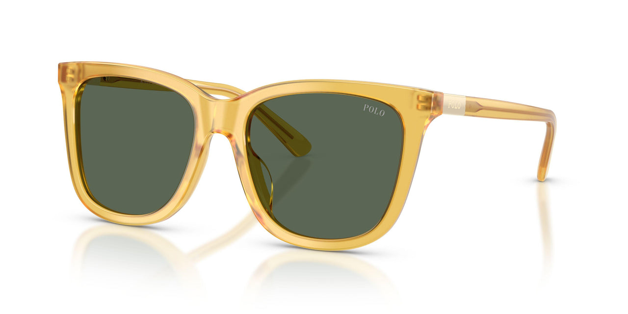 500571 - Yellow - Green