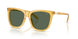 500571 - Yellow - Green