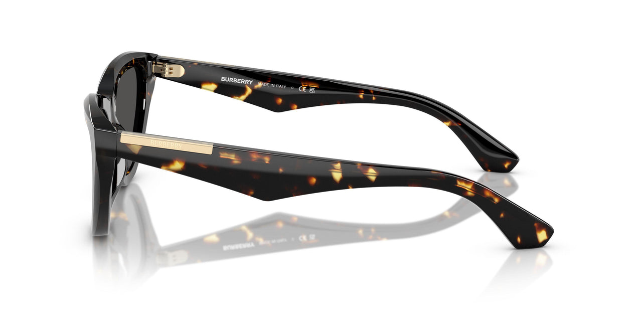 410687 - Tortoise - Dark Grey