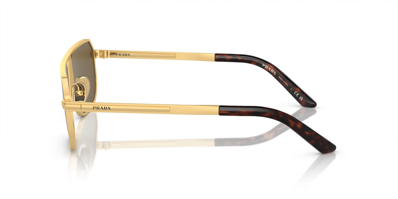 1BK01T - Gold - Dark Brown