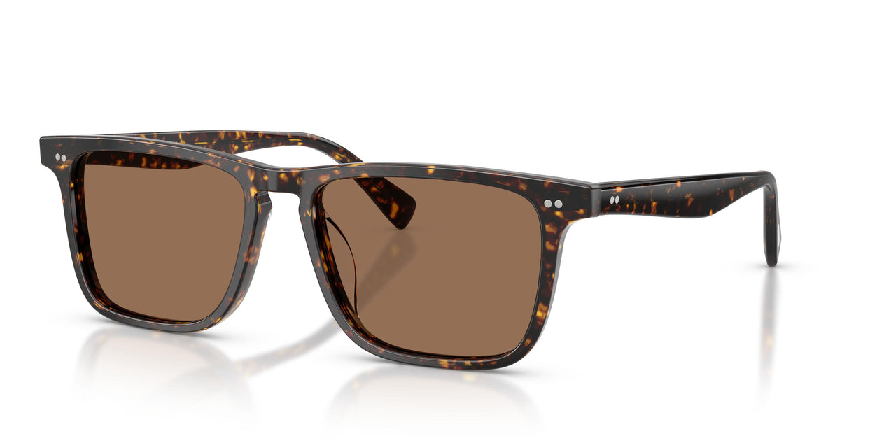 174173 - Tortoise - Brown