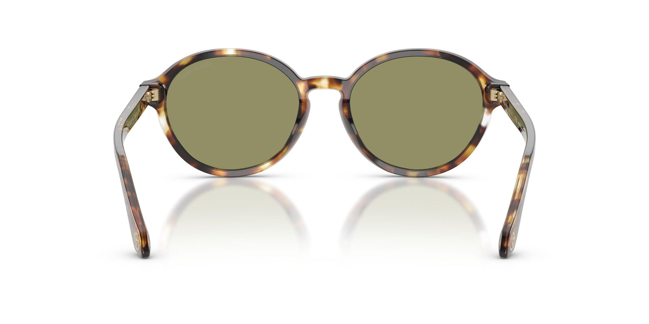 623214 - Tortoise - Green