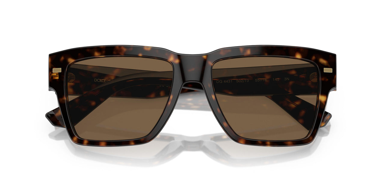 502/73 - Tortoise - Dark Brown