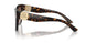 502/13 - Tortoise - Brown Gradient