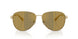 10149A - Gold - Dark Brown