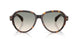 30022A - Tortoise - Light Brown Grad Light Green