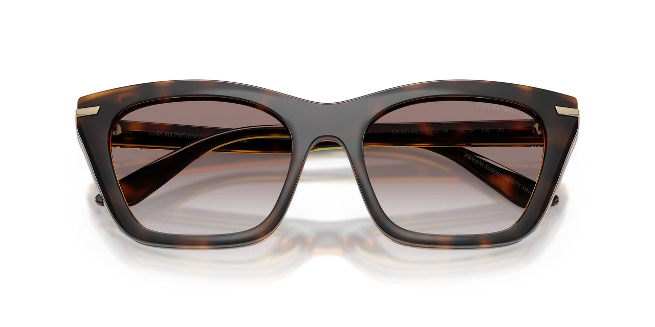 50261W - Tortoise - Clear