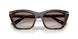 50261W - Tortoise - Clear