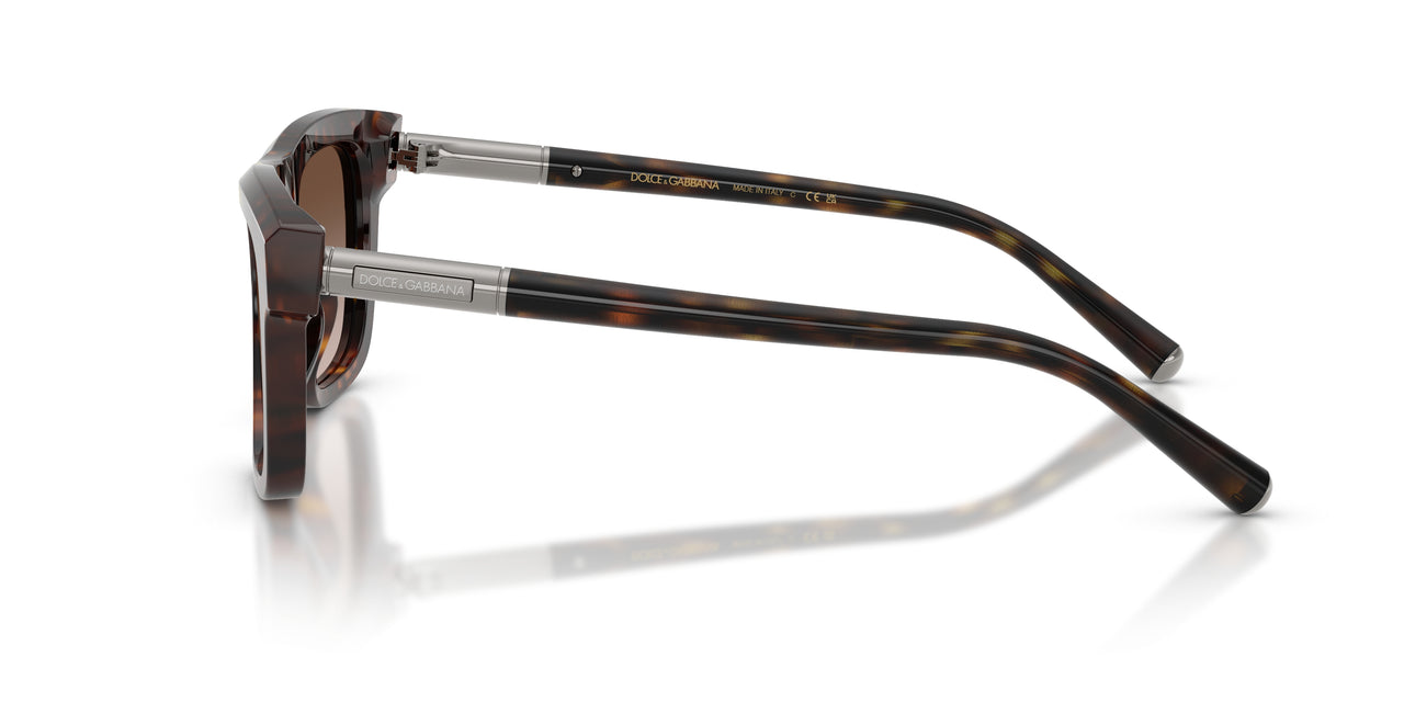 502/13 - Tortoise - Gradient Brown