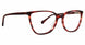 Trina Turk TTKERRIS Eyeglasses