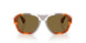 004/73 - Multicolor - Brown