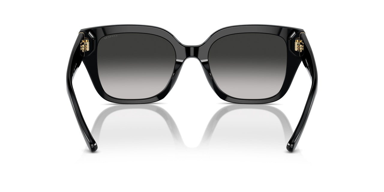 50023C - Black - Grey Gradient