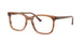 8455 - Tortoise - Clear