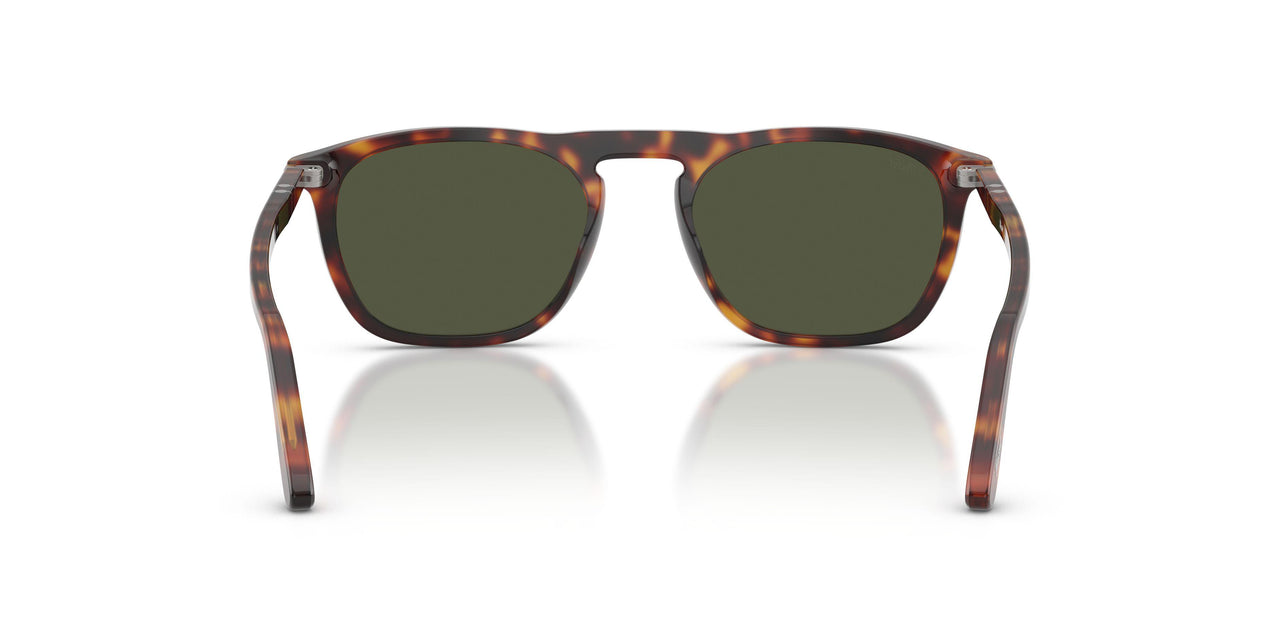 24/31 - Tortoise - Green
