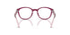 6383 - Violet