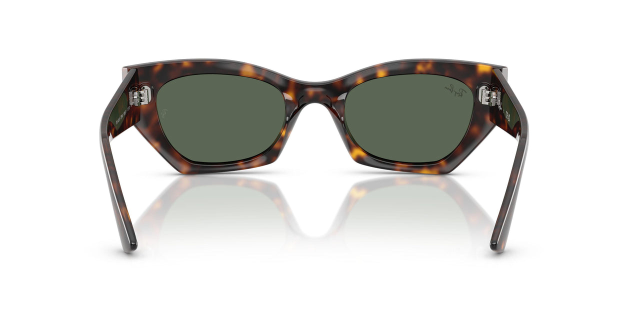 135971 - Tortoise - Dark Green
