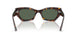 135971 - Tortoise - Dark Green