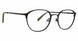 Mr Turk MTPERRAULT Eyeglasses