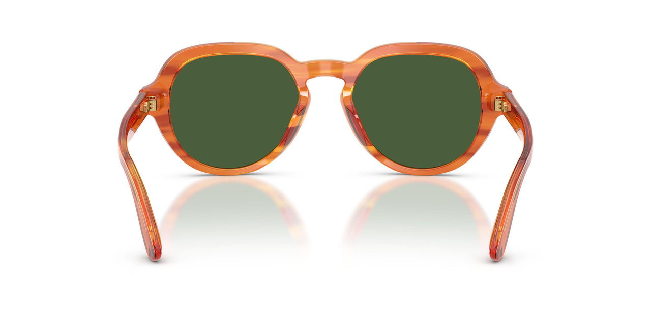 348371 - Light Brown - Dark Green