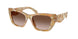 194913 - Tortoise - Brown Gradient