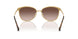 507813 - Brown - Gradient Brown
