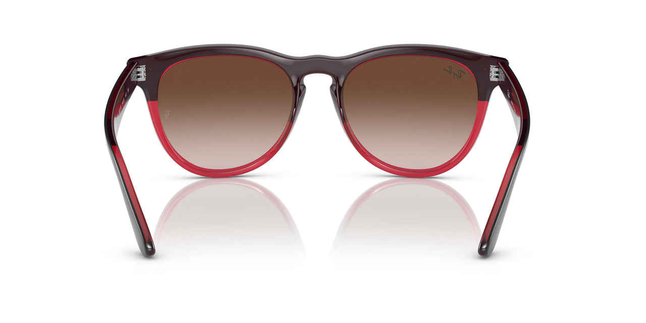 663113 - Grey - Gradient Brown