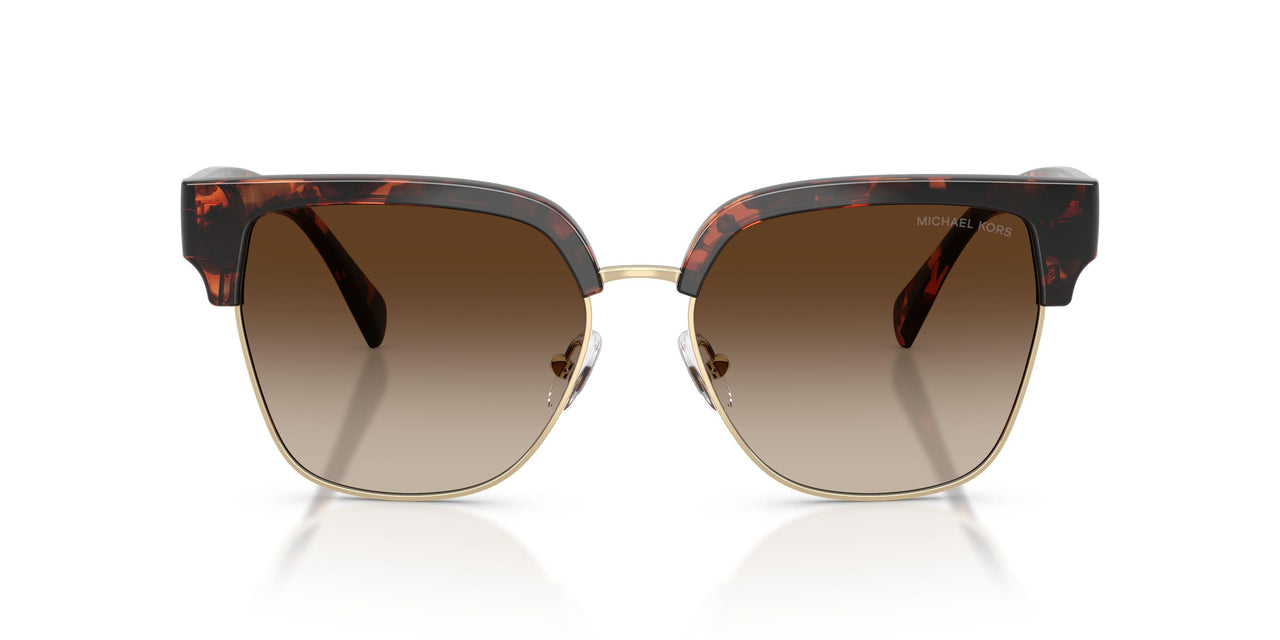 300613 - Tortoise - Smoke Gradient