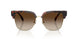 300613 - Tortoise - Smoke Gradient