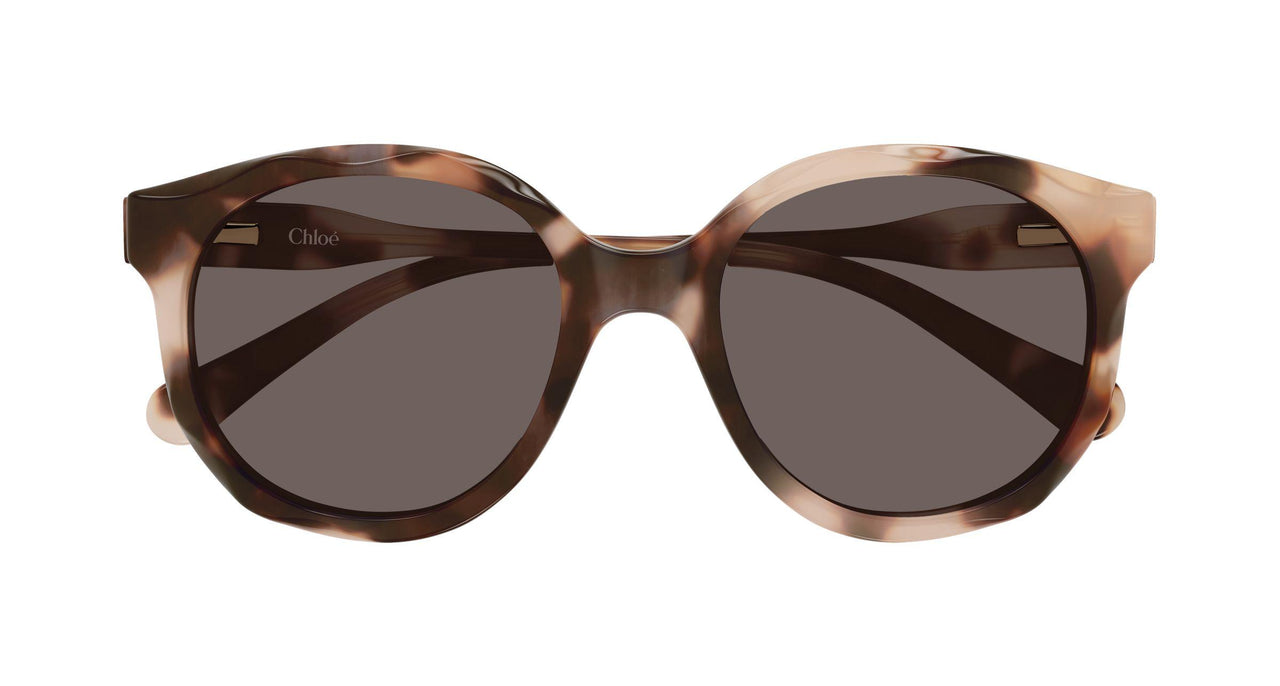 006 - Havana - Brown