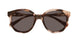006 - Havana - Brown