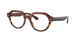 2144 - Brown - Clear