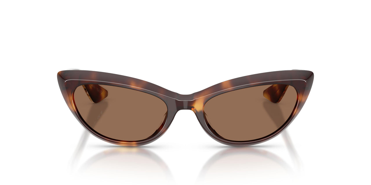 100773 - Tortoise - Brown