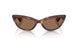 100773 - Tortoise - Brown