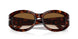 24/51 - Tortoise - Clear Gradient Brown